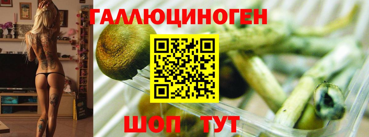 Ставрополь  Псилоцибиновые грибы Cubensis  Вход с VPN  Псилоцибиновые грибы Magic Shrooms 